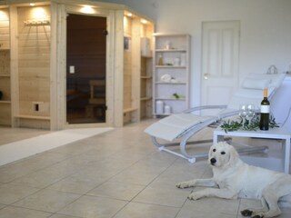 Villa Ičići Kenmerken 31