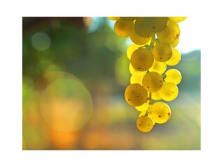 Appartamento Saalbach Ambiente 39