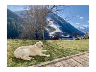 Apartment Saalbach Umgebung 37