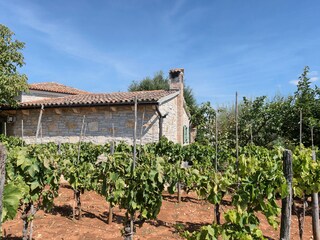 Villa Porec Ambiente 34