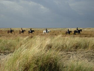 Appartamento per vacanze Borkum Registrazione all'aperto 4