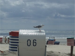 Vakantieappartement Borkum Buitenaudio-opname 5