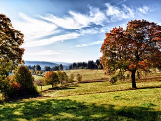 Landschaft in Schönheide