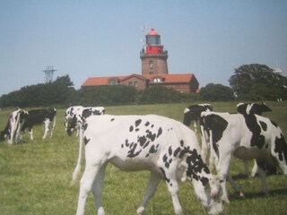 Ausflugsziel Bastorfer Leuchturm