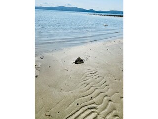 Appartement de vacances Sukošan Environnement 31