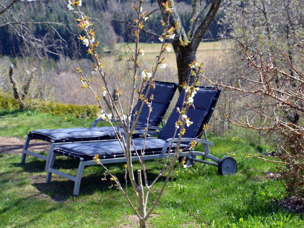 Entspannen im Garten