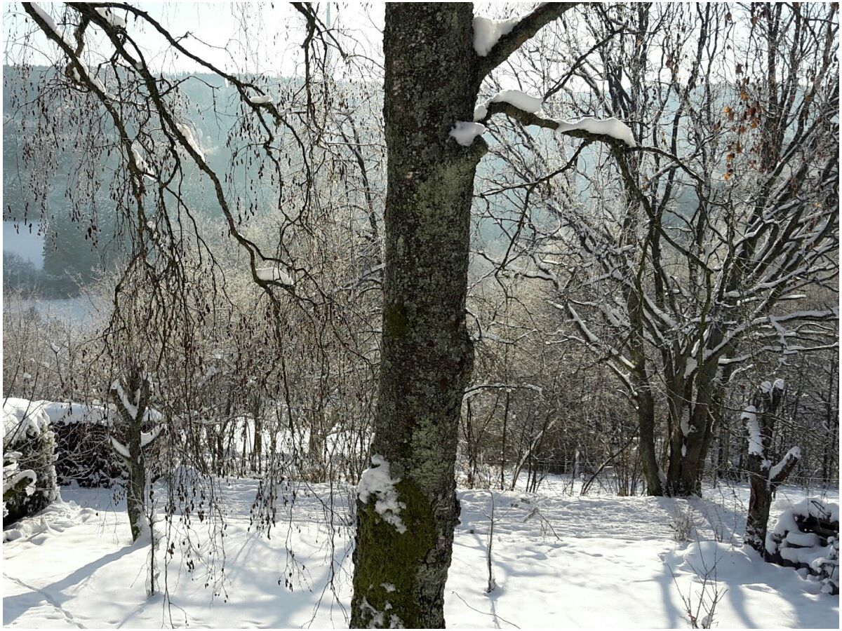 Garten im Winter