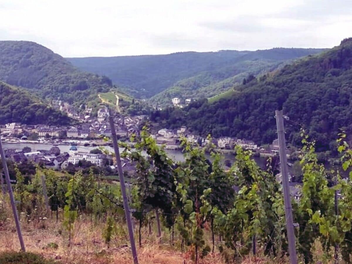 Ausflüge in die Weinregionen Mosel, Saar und Nahe...