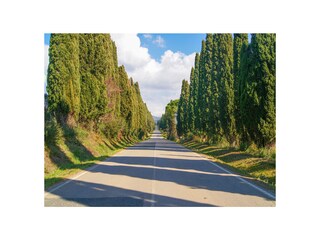 Villa Riparbella Ambiente 37