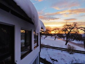 Holiday apartment House Scholle - Feuchtwangen - image1