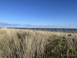 Appartamento per vacanze Wyk auf Föhr Ambiente 32
