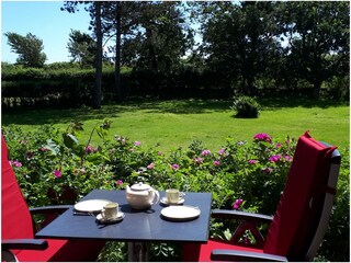 Appartamento per vacanze Wyk auf Föhr Caratteristiche 26