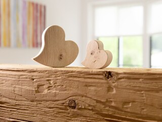 Appartamento per vacanze Wunsiedel Caratteristiche 26