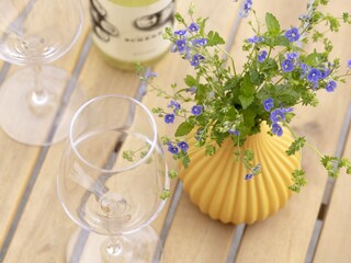 Appartamento per vacanze Wunsiedel Caratteristiche 28