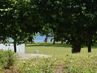 Ferienwohnung Travemünde Außenaufnahme 2