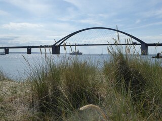 Fehmarnbrücke