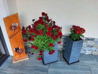 Blühende Blumen - SOMMER