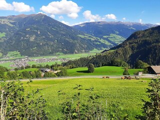 Blick ins Tal - SOMMER