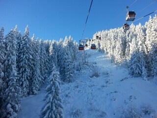 20160118_091818
