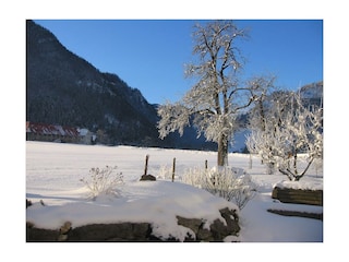 Winterpanorama