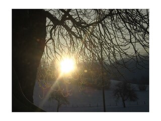 Wintersonne