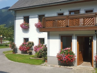 Blumenpracht