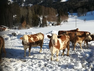 Spass im Schnee