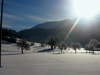 Blick vom Küchenfenster