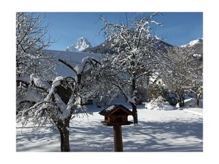 Winterlicher Garten rund ums Hotel Garni Wallner