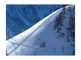 Tiefschneefahren