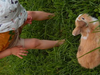 Zwei Zwerge auf Tuchfühlung.