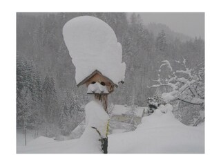 Garten vom Landhaus Seebacher im tiefsten Winter