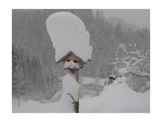 Garten vom Landhaus Seebacher im tiefsten Winter