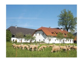 Herzlich Willkommen beim Waldbauer