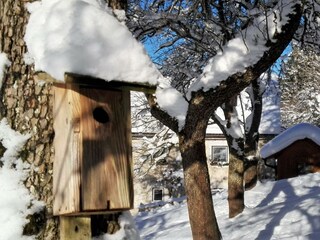 IMG_20170121_093123 NEU