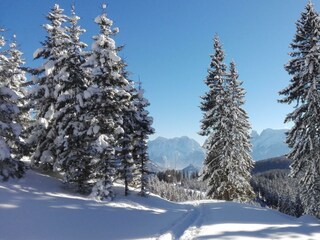 IMG_20170119_Winterlwonderland