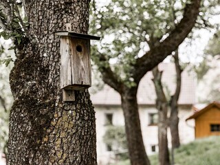 200428 Hirschnest-018