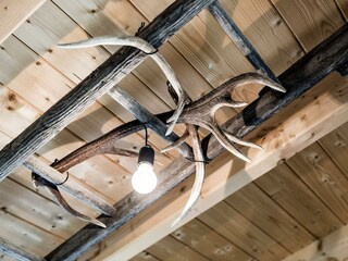 200428 Hirschnest-129_websize