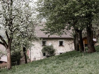 200428 Hirschnest-020_websize