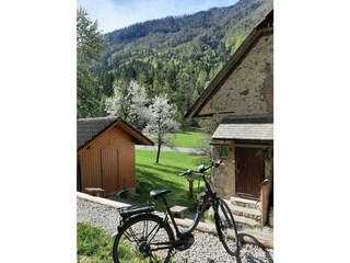 Foto 1 Hirschnest Rad