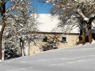 Hirschnest Winterfoto