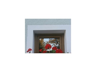 Blumenfenster