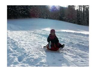 Schlitten fahren am Hof