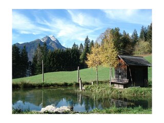 Stoderer Fischteiche