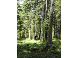 Kreilgut_Wildererweg