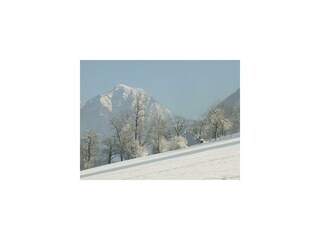 im Winter