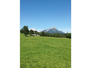 IMG_20170808_094623