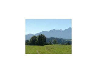 IMG_20170808_094922