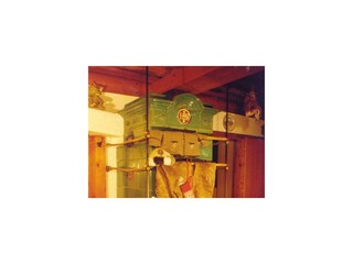 Bauernstube am Familienbauernhof Grossgrub