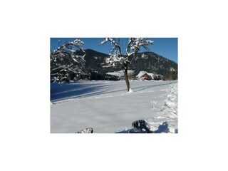 Schneeschuhwanderung